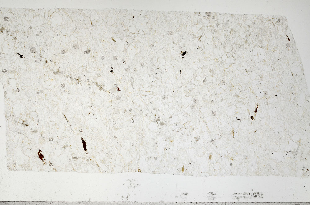 Plane Polarized, S96370