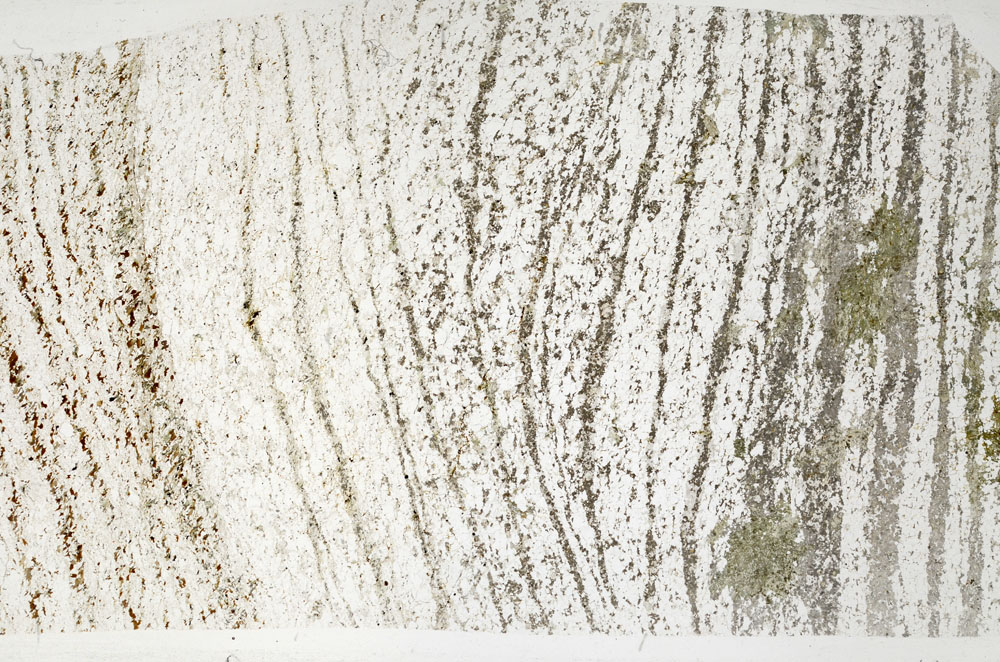 Plane Polarized, S97349