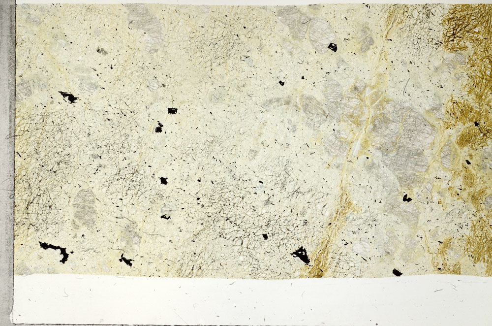 Plane Polarized, S97533