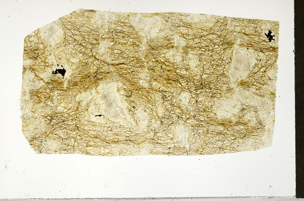 Plane Polarized, S97539