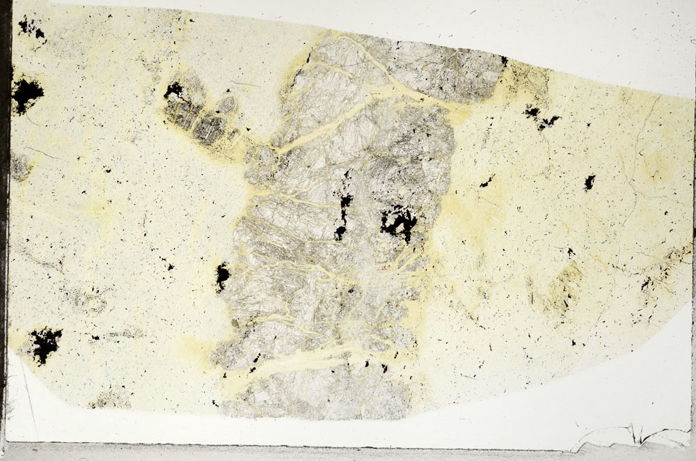 Plane Polarized, S97541