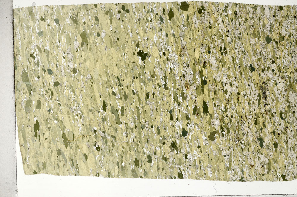 Plane Polarized, S97550