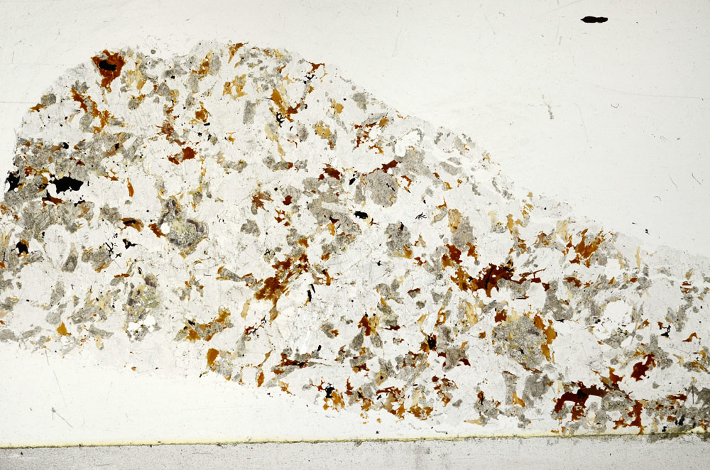 Plane Polarized, S97603