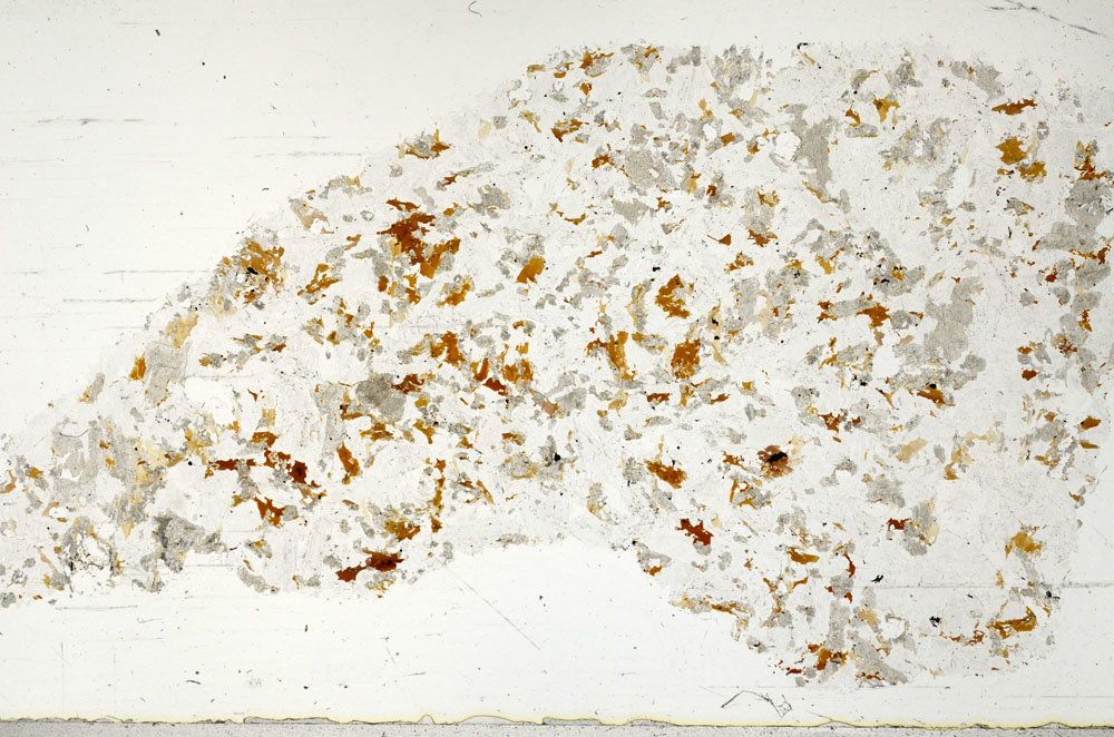 Plane Polarized, S97605