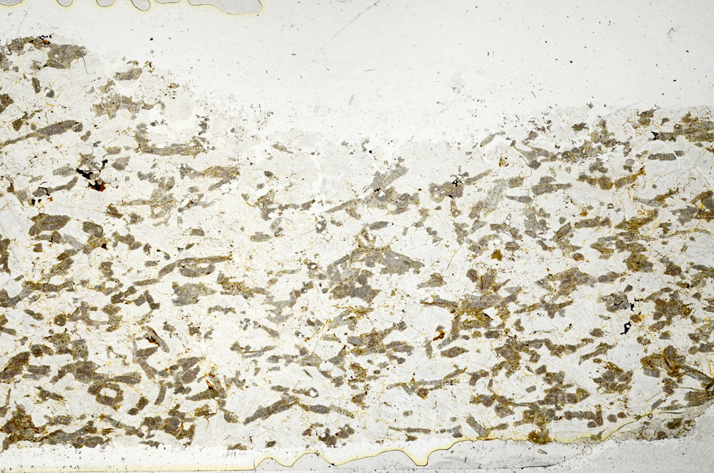 Plane Polarized, S97713