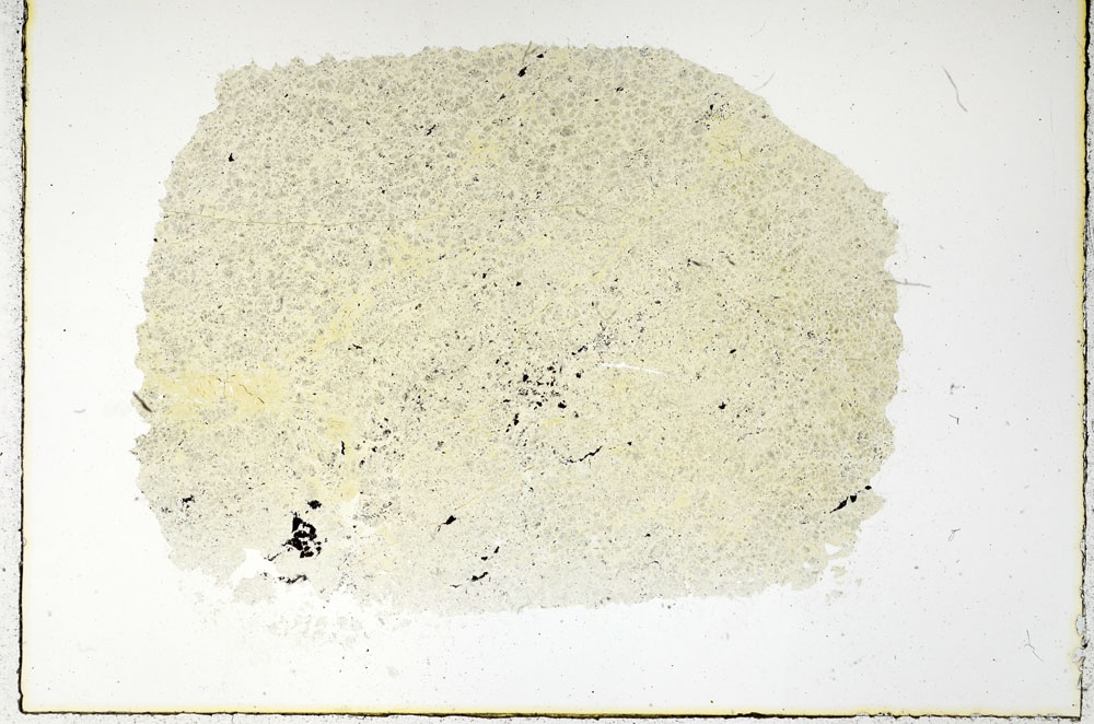 Plane Polarized, S97769