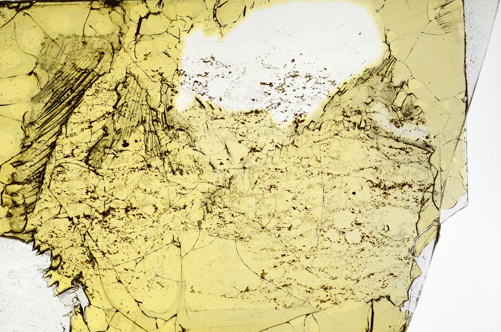 Plane Polarized, S97771