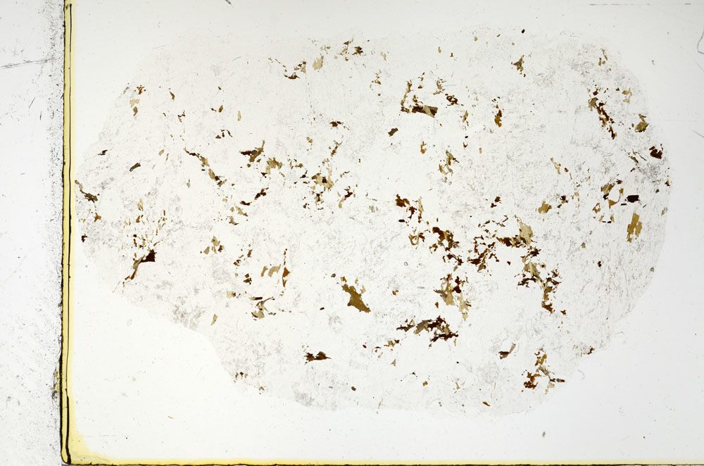 Plane Polarized, S97772