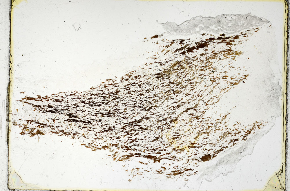 Plane Polarized, S97777