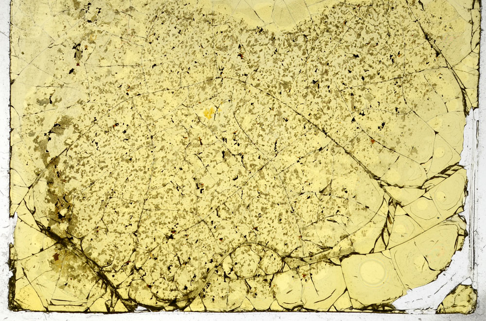 Plane Polarized, S97801