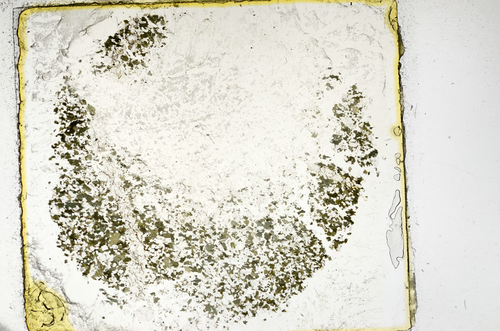 Plane Polarized, S97818