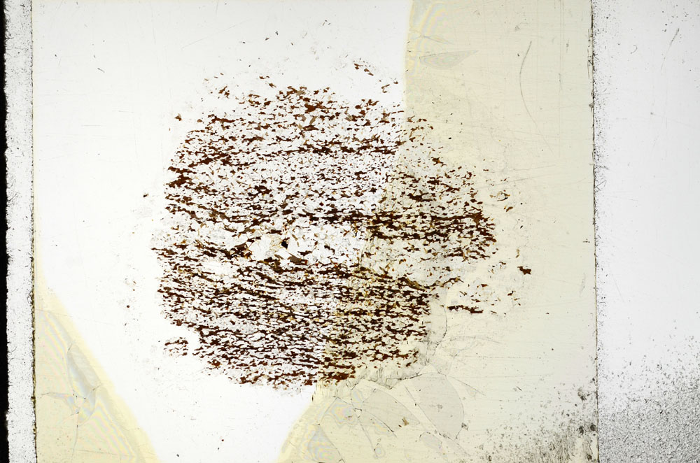 Plane Polarized, S97828