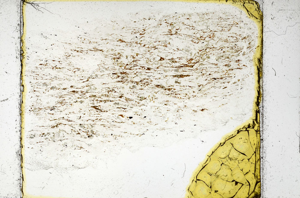 Plane Polarized, S97838