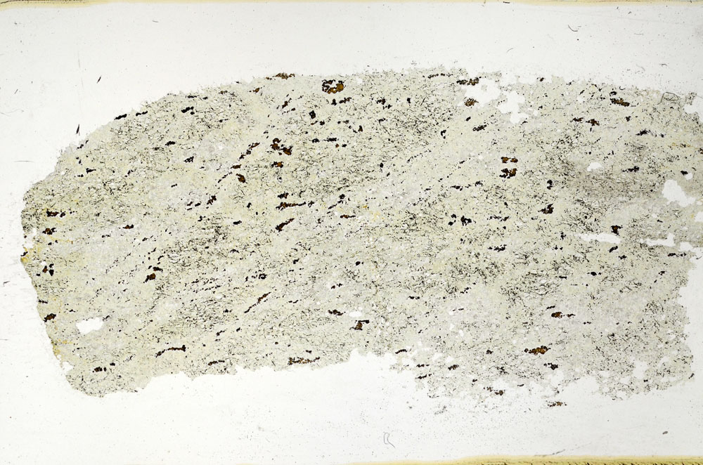 Plane Polarized, S97839