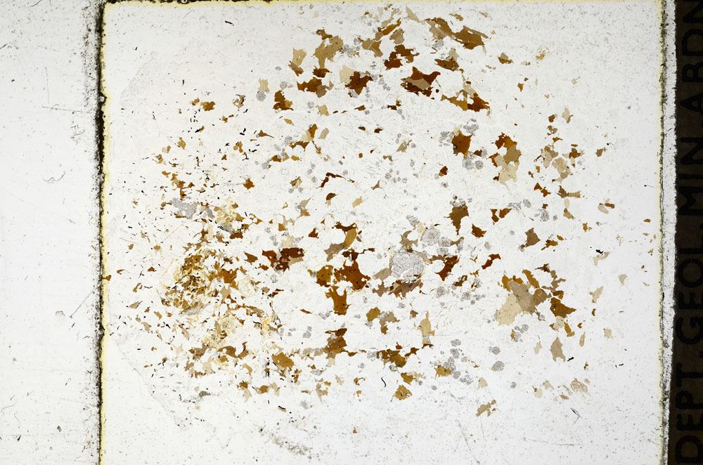 Plane Polarized, S97866