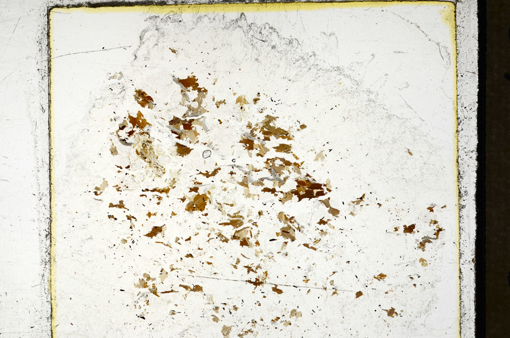 Plane Polarized, S97868