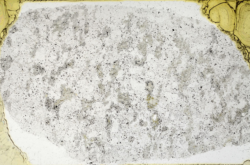 Plane Polarized, S97895