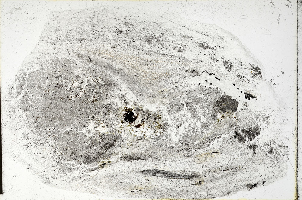 Plane Polarized, S98013/A