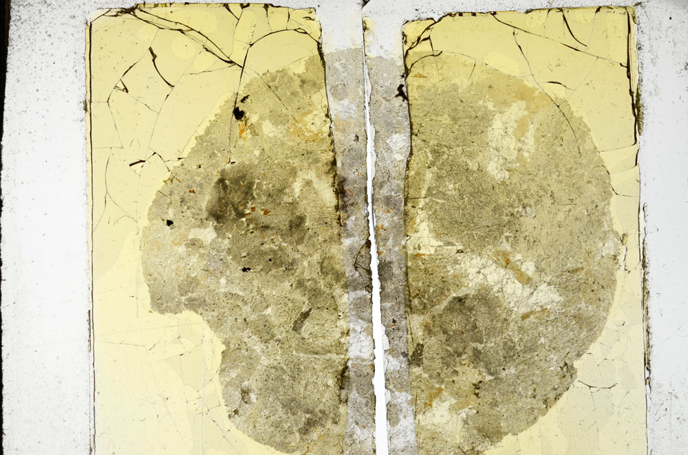 Plane Polarized, S98020