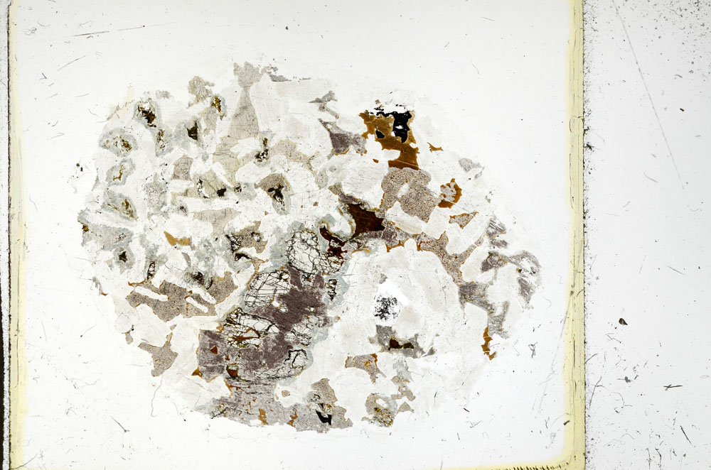 Plane Polarized, S98021/A