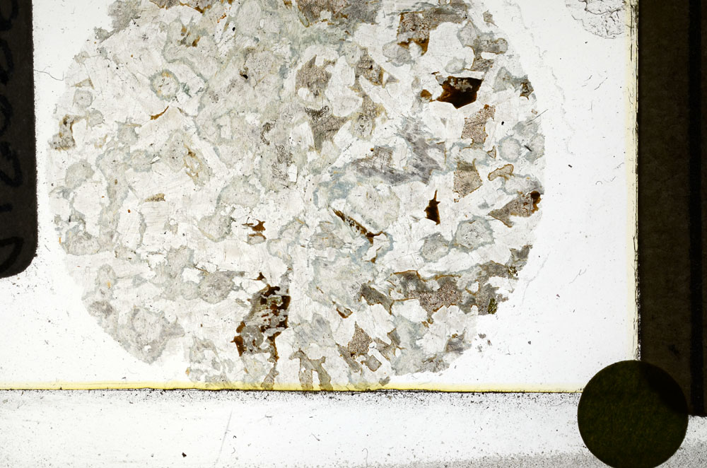 Plane Polarized, S98021/B