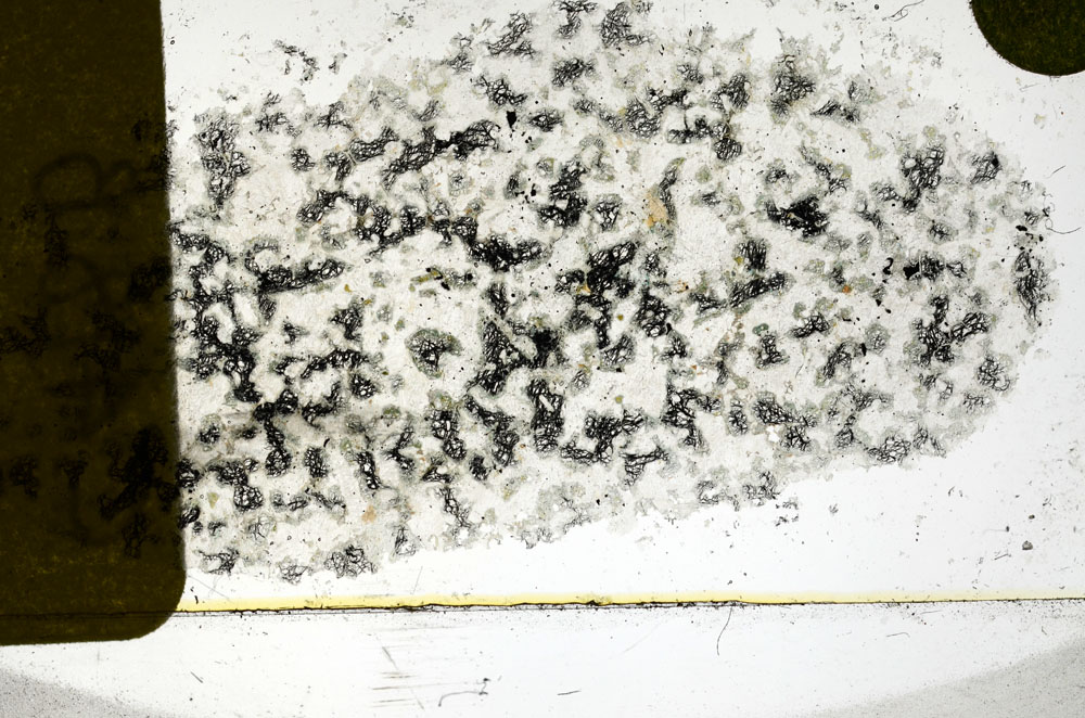 Plane Polarized, S98032