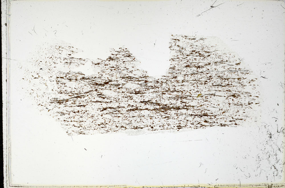 Plane Polarized, S98034