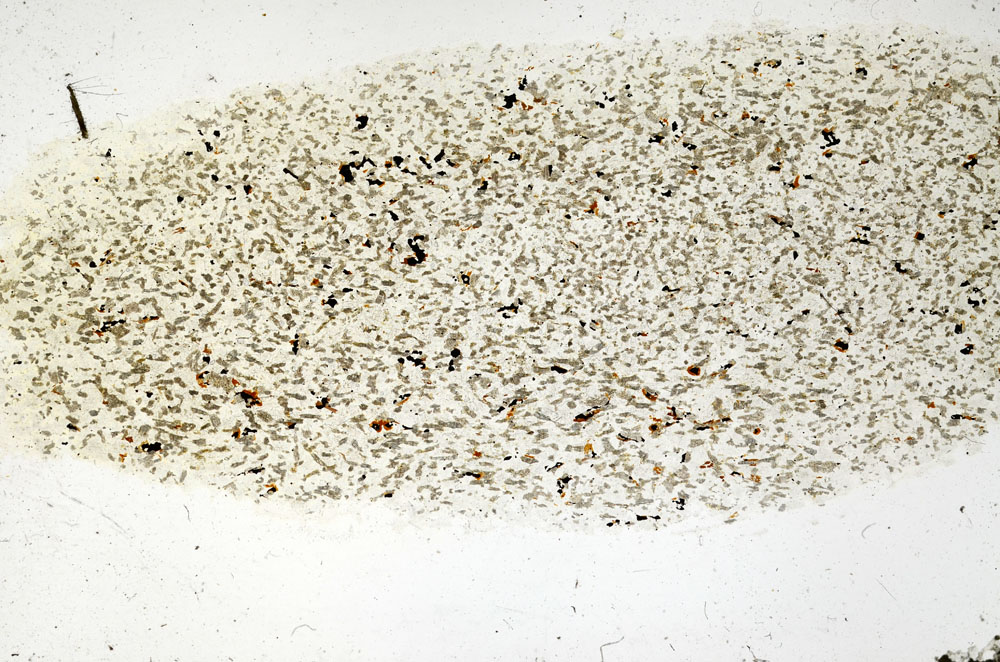 Plane Polarized, S98037