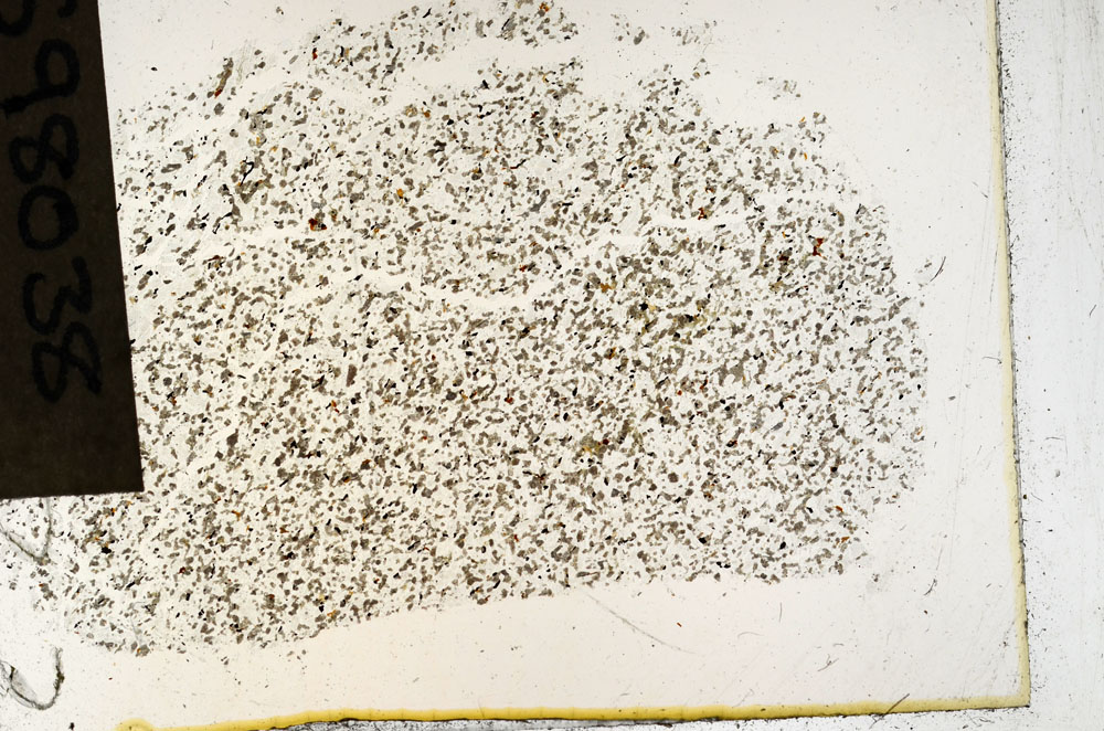 Plane Polarized, S98038