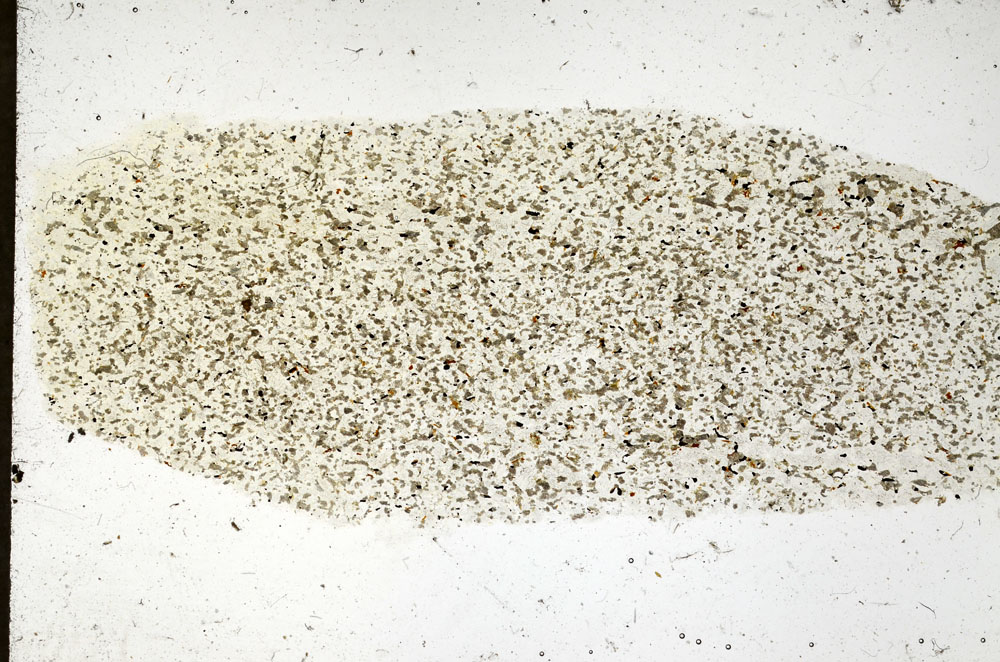 Plane Polarized, S98038/A