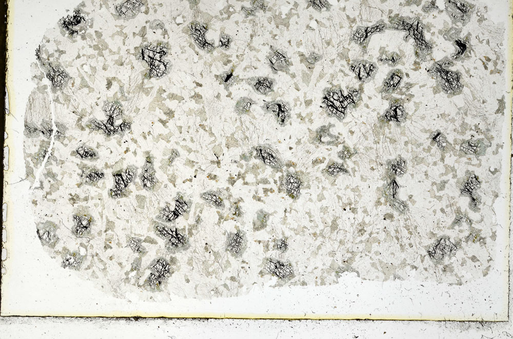 Plane Polarized, S98043