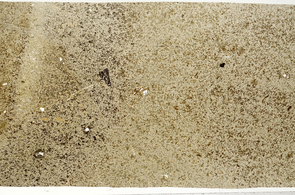 Plane Polarized, S98168