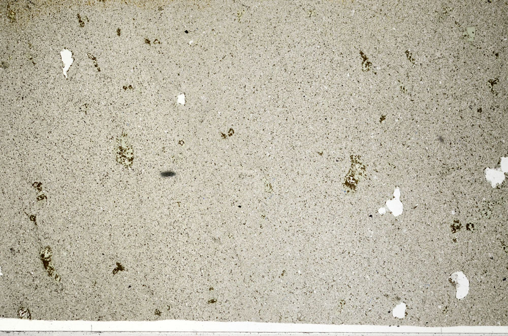 Plane Polarized, S98180
