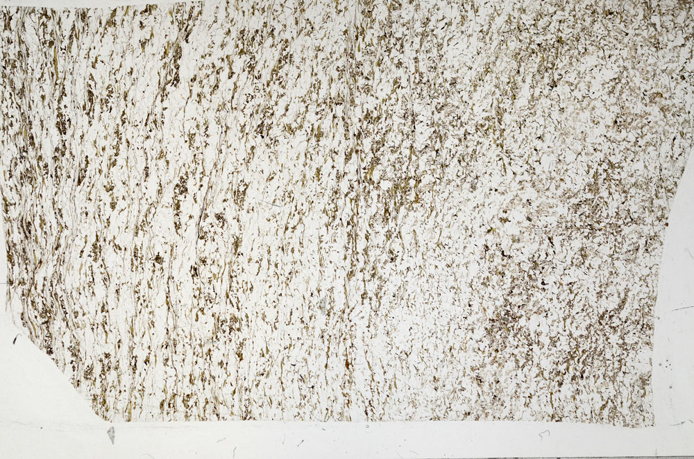 Plane Polarized, S98208