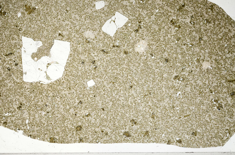 Plane Polarized, S98218