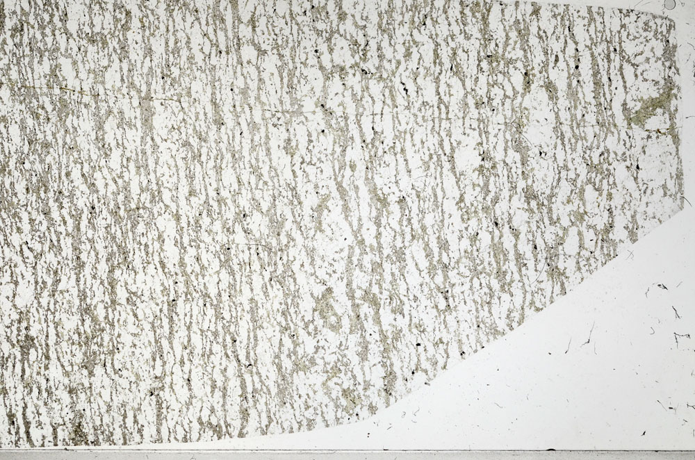 Plane Polarized, S98222
