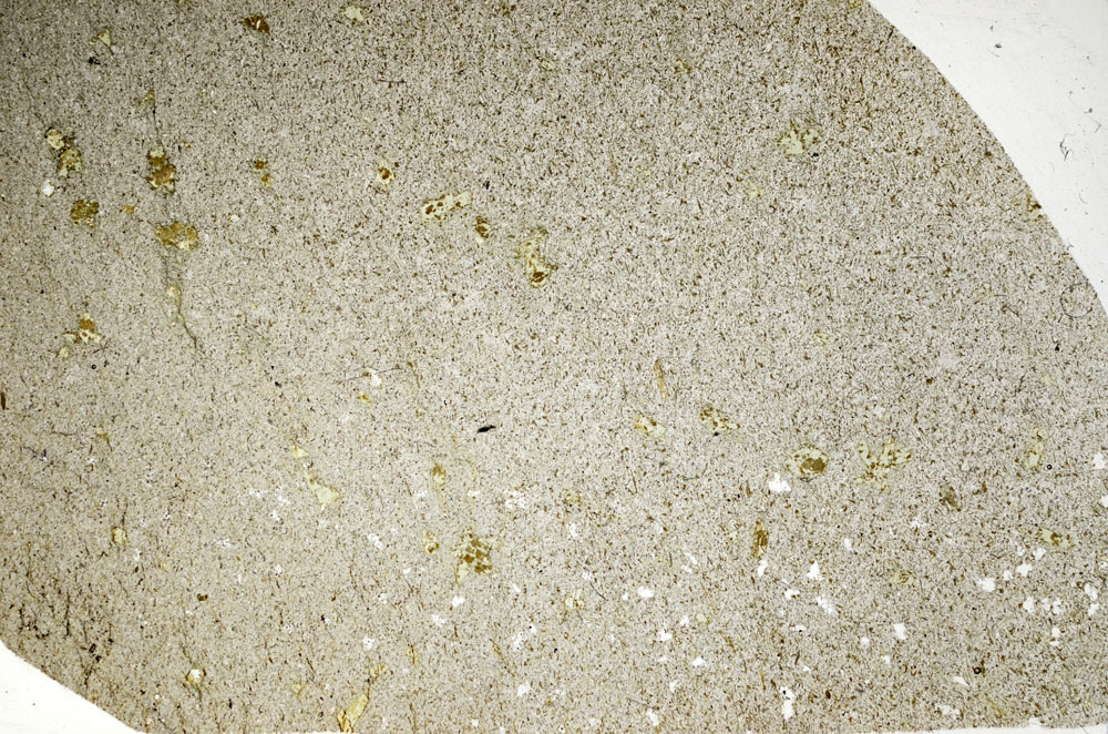 Plane Polarized, S98245