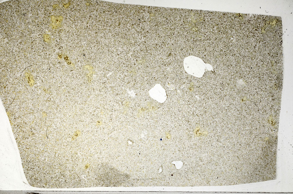 Plane Polarized, S98249