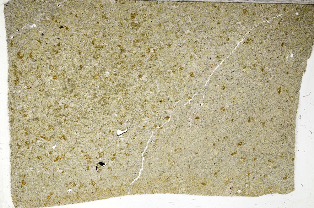 Plane Polarized, S98253