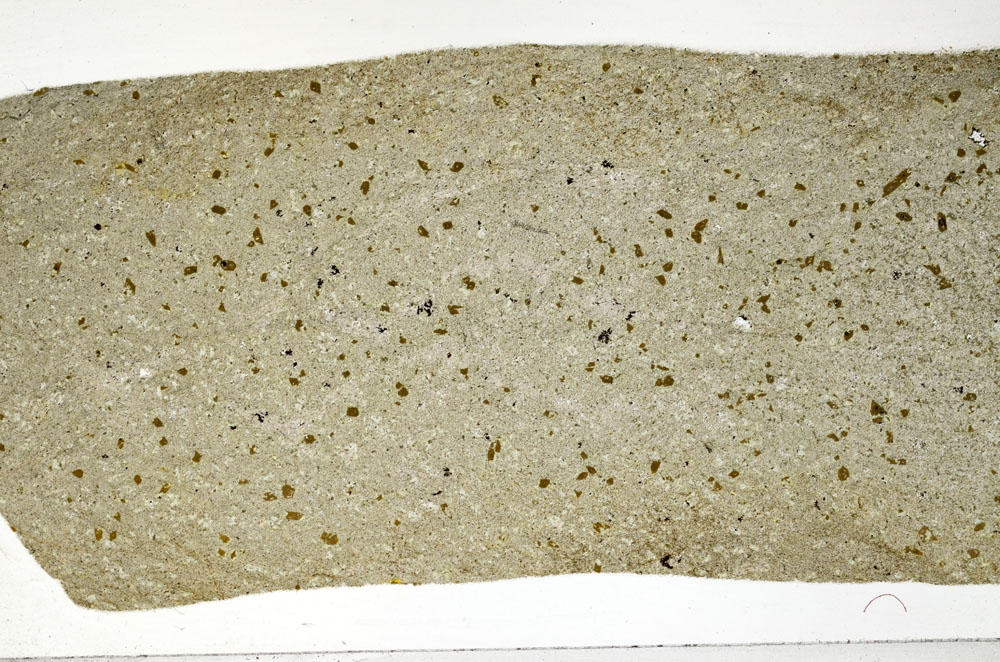 Plane Polarized, S98261