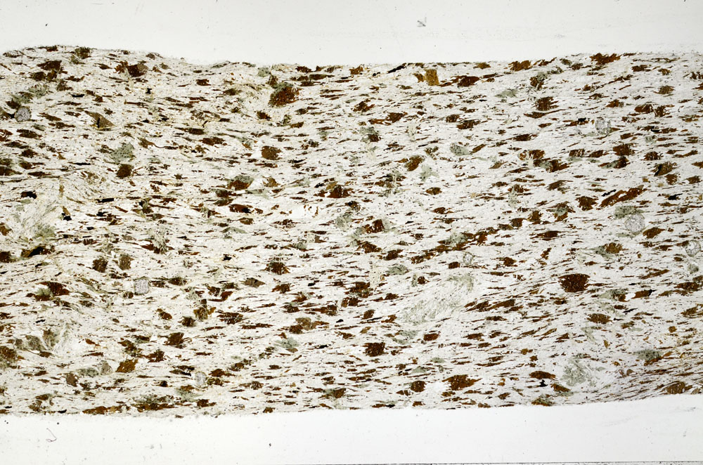 Plane Polarized, S98441