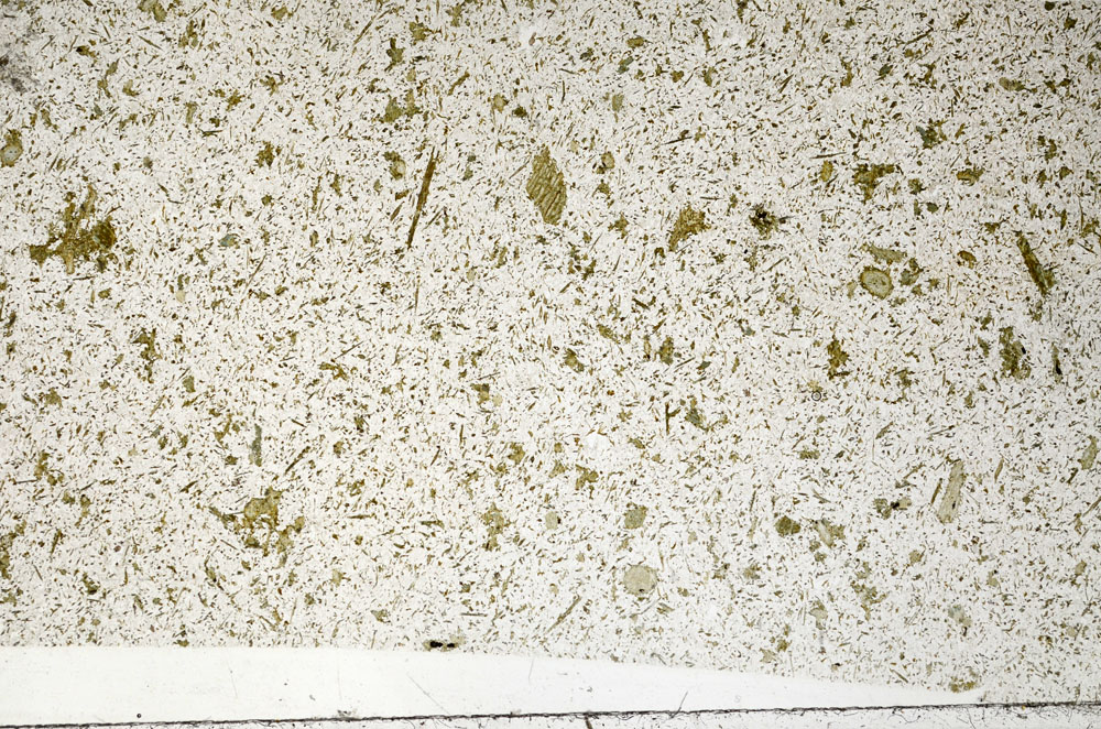 Plane Polarized, S98537