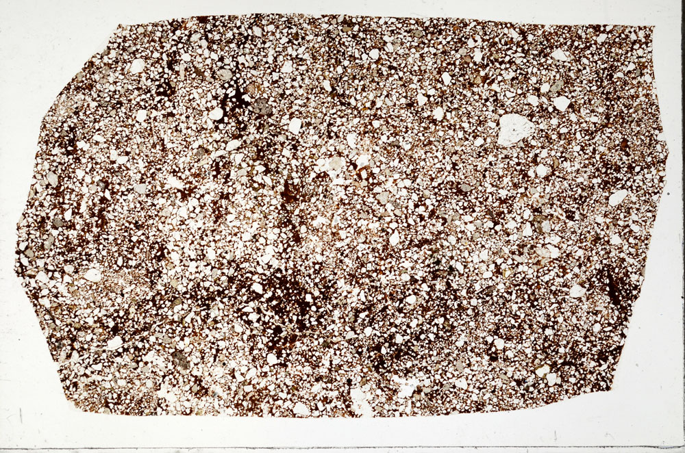 Plane Polarized, S98558