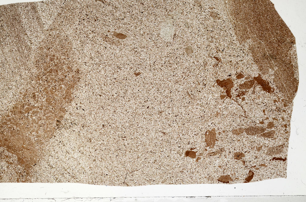 Plane Polarized, S98559