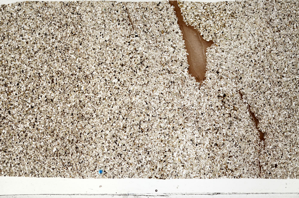 Plane Polarized, S98571