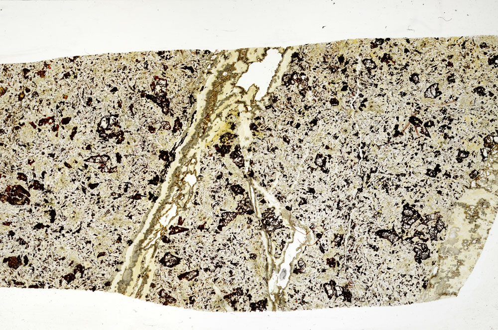 Plane Polarized, S98572