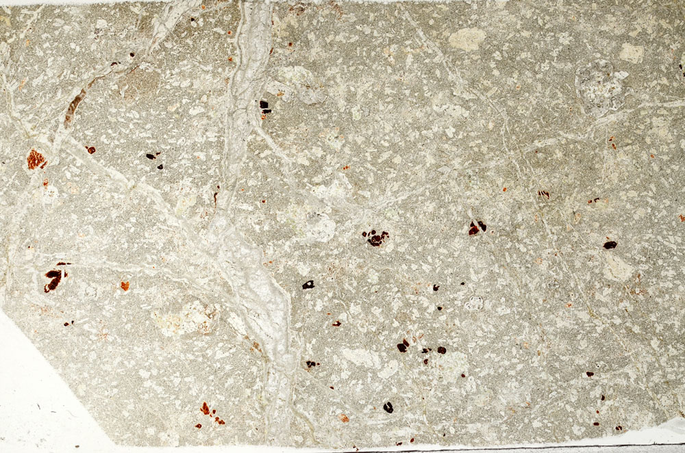 Plane Polarized, S98643