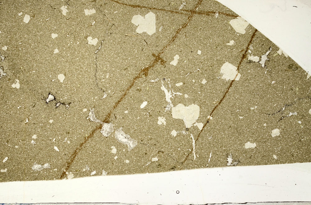 Plane Polarized, S98723