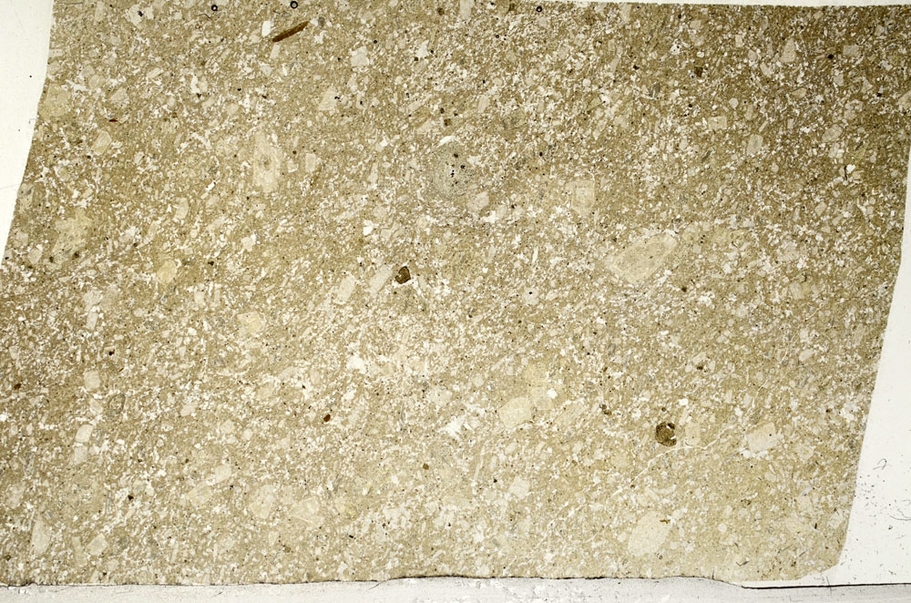 Plane Polarized, S98731