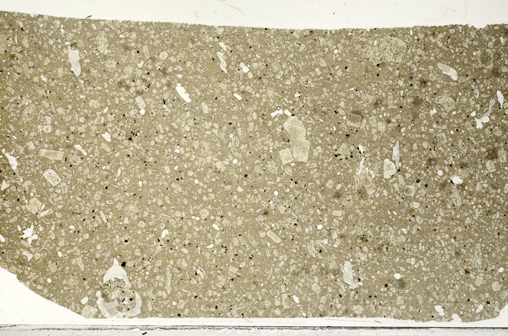 Plane Polarized, S98732